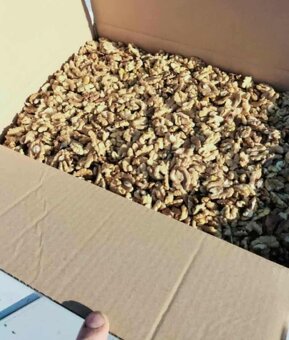 Predám vlašské orechy - 3