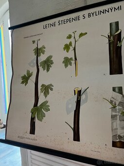 Retro plagát - učebná pomôcka - 3