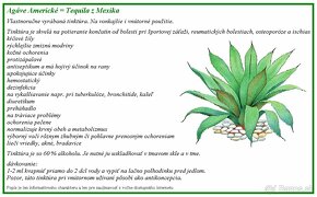 Agáve Americké tinktúra Aloe Vera 50 ml - 3