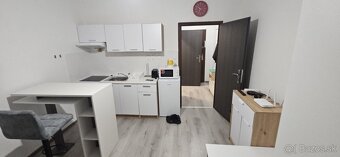 Garsonka na prenájom v Leviciach - 3