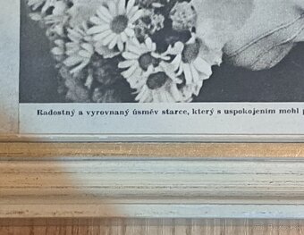 Obraz T.G.Masaryka - 3