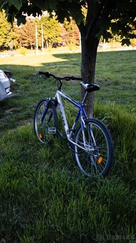 Horský bicykel CTM Axon - 3
