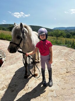 Predam sikovneho S pony - 3