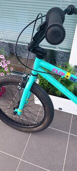 BMX FLIP BEFLY MINT - 3