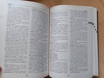 Latinsko-slovenský slovník - 3