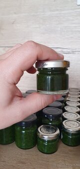 Pesto z medvedieho cesnaku - 3