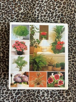 Izbové kvetiny od A do Z - 3