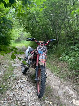 Pitbike kxd 125 - 3