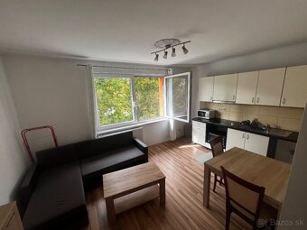 1 izbový byt v Niznej - 3