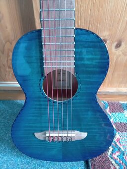 Elektro akustické gitalele Ortega - 3