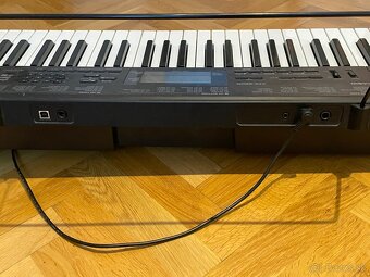 Casio CTK 3209 - 3