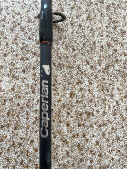 Privlacova udica Caperlan - 3