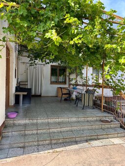 Rodinny dom Vydrany 2 km od Dun.Stredy. - 3