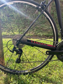 Canyon Endurace - 3