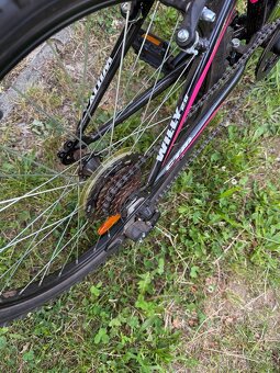 Bicykel CTM - 3
