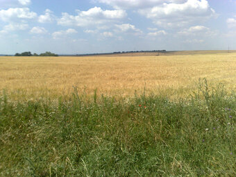 predaj pozemok Párovské Háje - 3