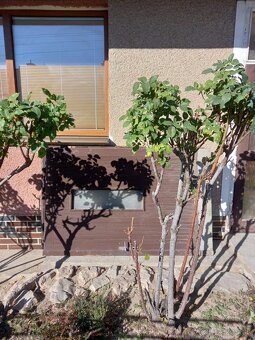 Garážové dvere - 3