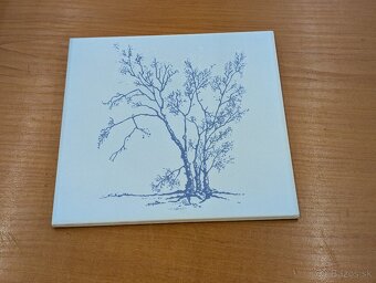 Obkladačky 15x15 - 3