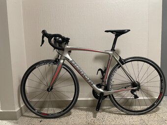 Bianchi Intenso - 3