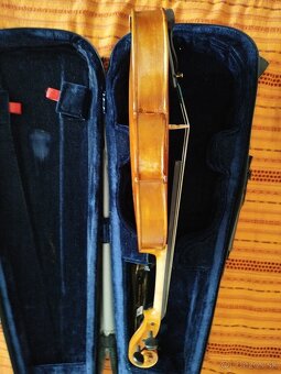 Viola - 3