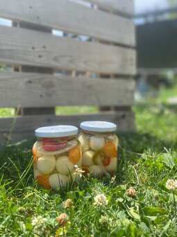 Prepelicie vajicka - 3