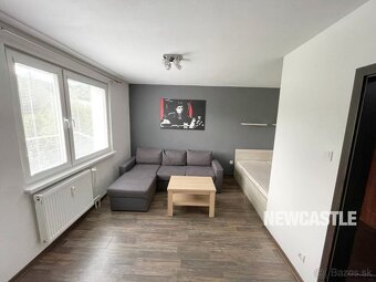 NEWCASTLE⏐PRENAJOM - 1i bauring na ul. Tulská (29m2) + wifi - 3