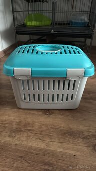 Činčila Jeremy - 3