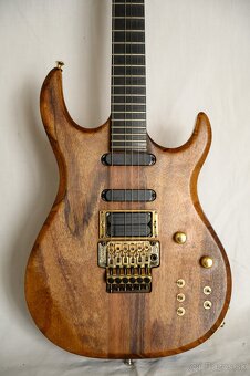 Elektrická gitara - Carvin DC - 20# - 3