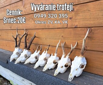 Vyváranie trofejí - 3