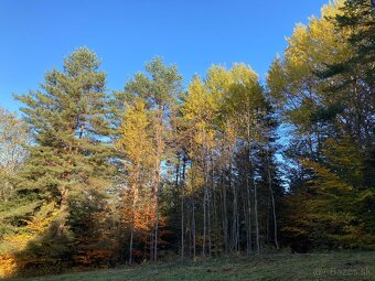 Predám pozemok (Mihaľov) - 3