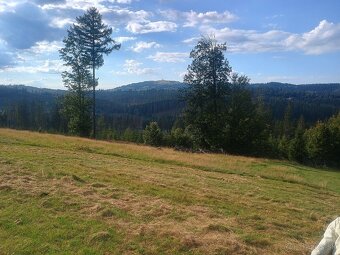 Zľava: Predáme pozemok pre chaty vo Zwardoni (PL) - 3