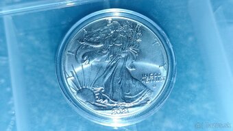 American silver Eagle - 3