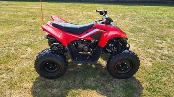 CFMoto x110 - 3