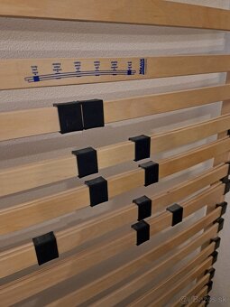 1 ks lamelovy rost - 3