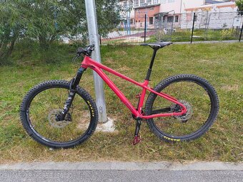 Pells Root 1 - veľ. M - 3