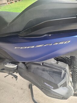 Forza 350 - 3