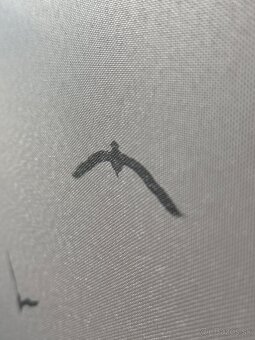 Predám obraz - sada 3 kusov - 3