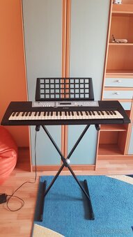 Yamaha YPT 200 - 3