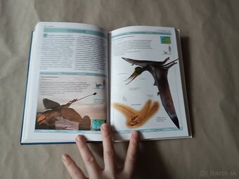 Príroda v kocke: Dinosaury a predhistorický život - 3
