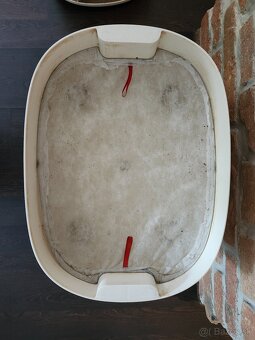 Usilovné dážďovky hľadajú nový domov - 3