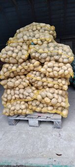 Zemiaky na zimné uskladnenie - 3