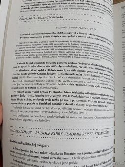 Kniha príručka slovenskej literatúry - 3