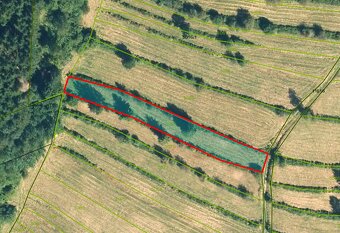 Čierny Balog - 560 m2 POĽNOHOSPODÁRSKY pozemok - 3