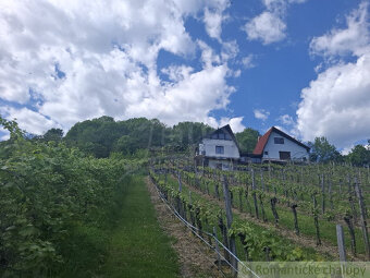 Vínny domček s nádhernými výhľadmi – splnený sen každého v - 3