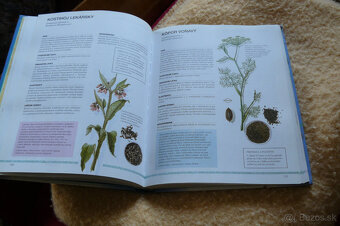 Bylinky pre zdravie - 3