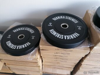 BUMPERY VARNIKA STRENGTH - 3