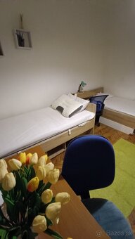1 izba oproti Veterinárnej fakulte, blízko TUKE - 3