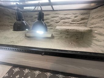 Sklenené terarium - 3