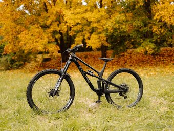 Canyon Spectral CF 29 - 3