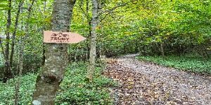 Chata na predaj KRPÁČOVO - 3